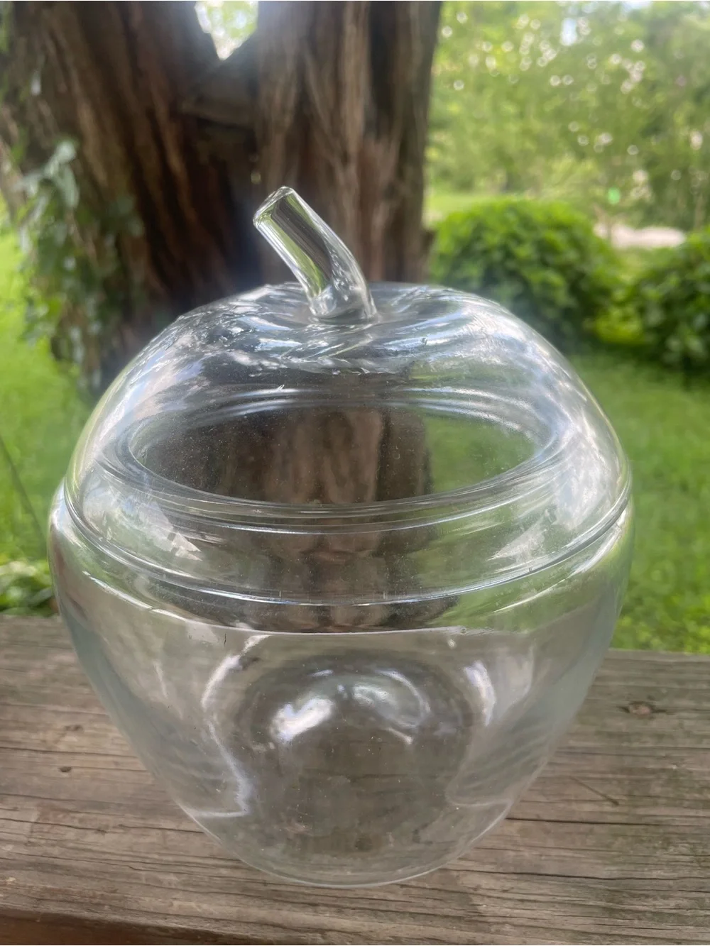 Vintage Clear Class Apple Canister Cookie or Candy Jar